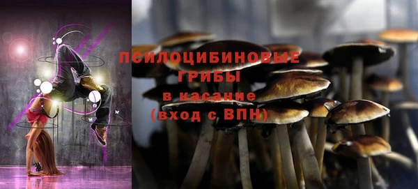 дживик Алексин