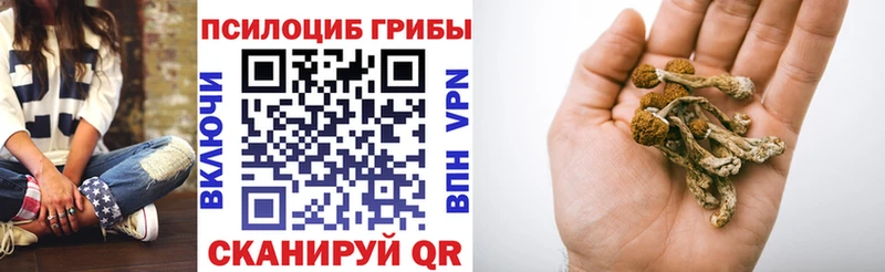 Псилоцибиновые грибы мицелий  Апрелевка 